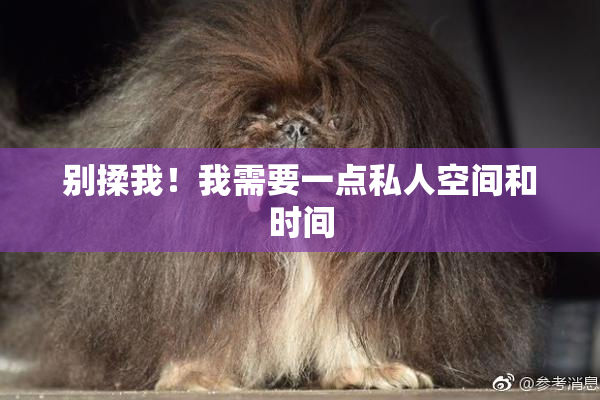 别揉我！我需要一点私人空间和时间