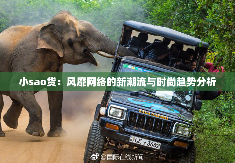 小sao货：风靡网络的新潮流与时尚趋势分析