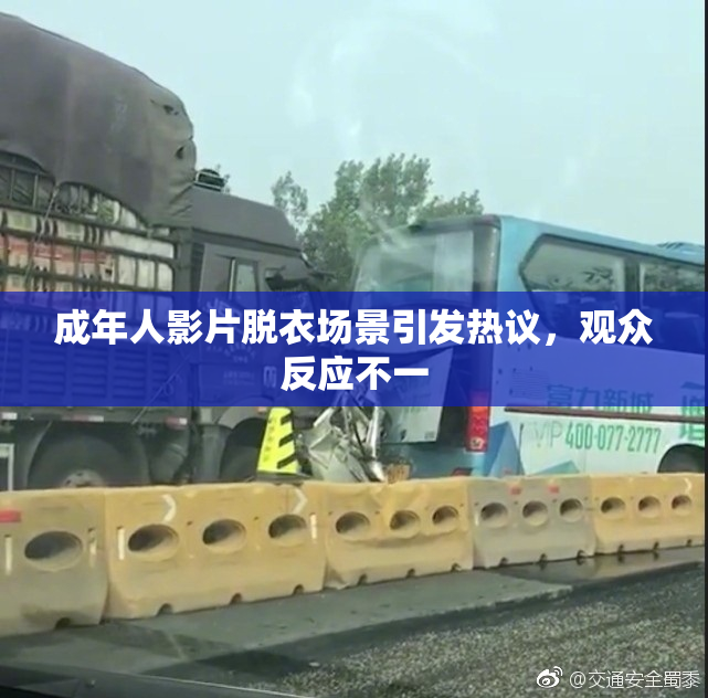 成年人影片脱衣场景引发热议，观众反应不一