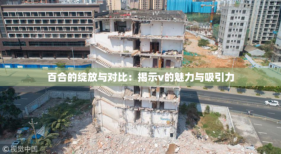 百合的绽放与对比：揭示v的魅力与吸引力