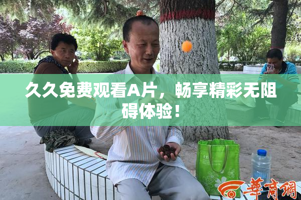 久久免费观看A片，畅享精彩无阻碍体验！