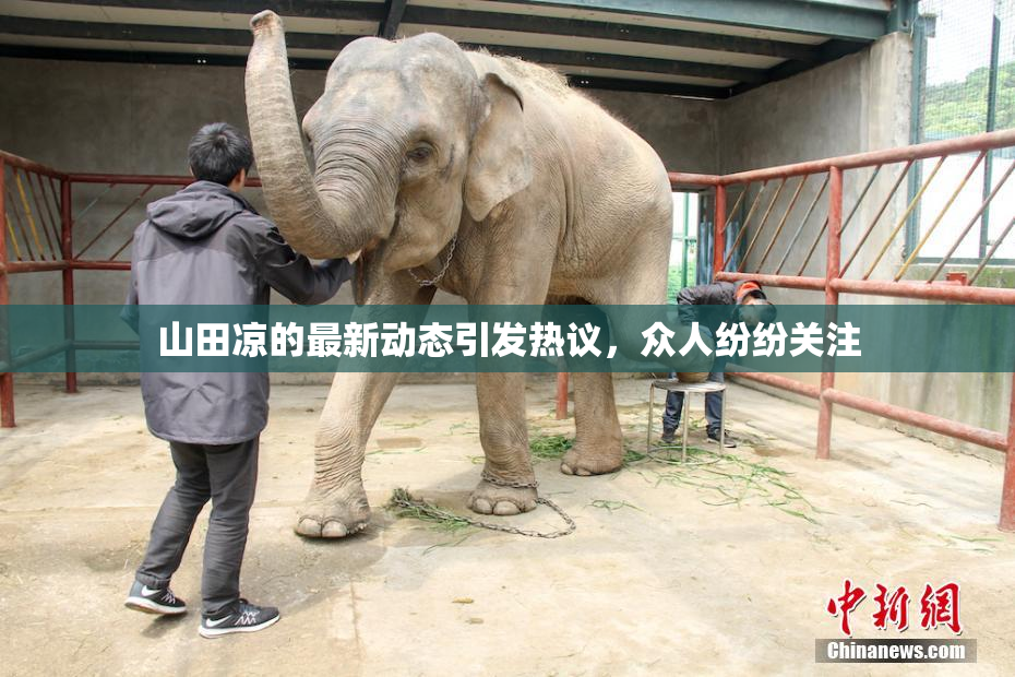 山田凉的最新动态引发热议，众人纷纷关注