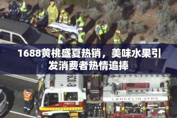 1688黄桃盛夏热销，美味水果引发消费者热情追捧