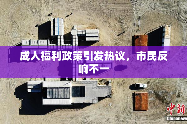 成人福利政策引发热议，市民反响不一