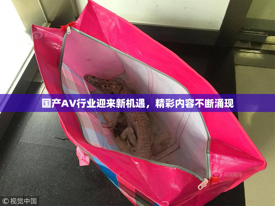 国产AV行业迎来新机遇，精彩内容不断涌现