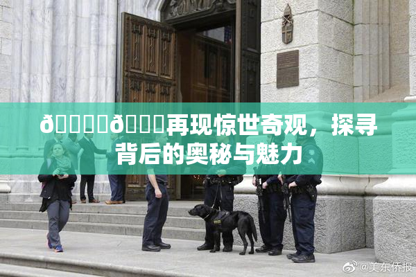 🔞‌🍌再现惊世奇观，探寻背后的奥秘与魅力