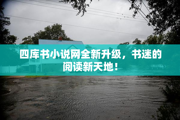 四库书小说网全新升级，书迷的阅读新天地！
