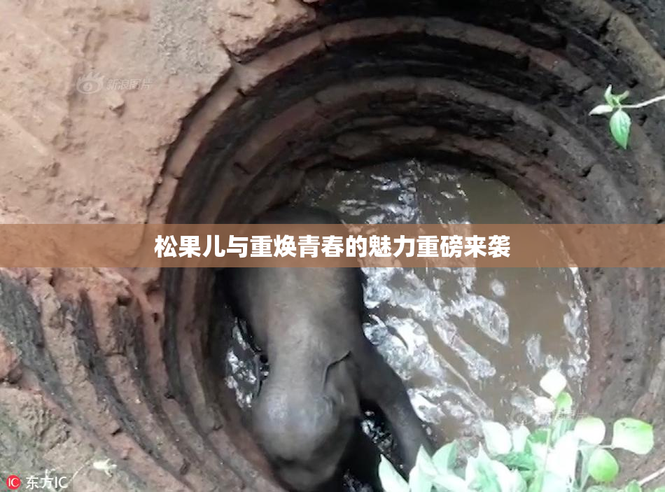松果儿与重焕青春的魅力重磅来袭