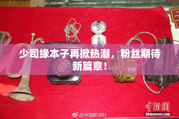 少司缘本子再掀热潮，粉丝期待新篇章！