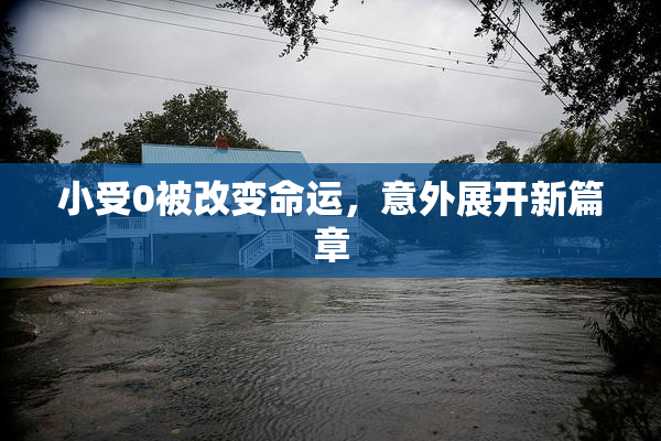 小受0被改变命运，意外展开新篇章