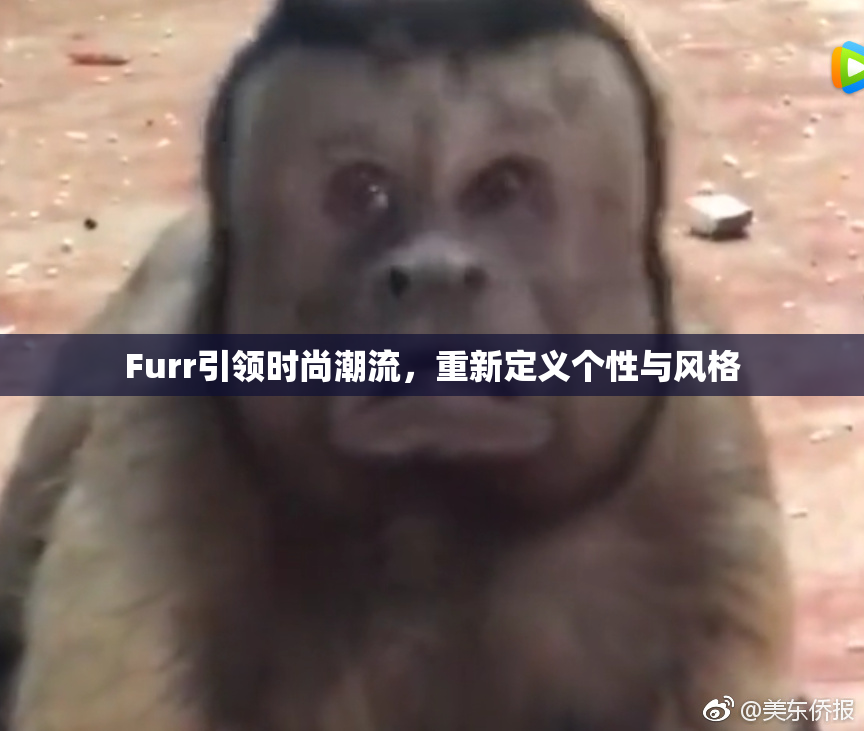 Furr引领时尚潮流，重新定义个性与风格