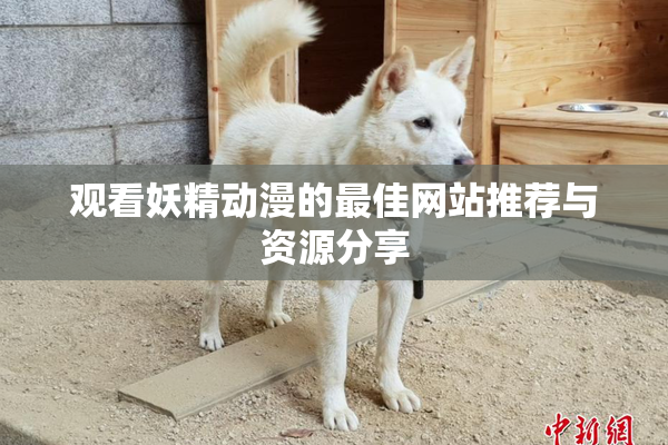 观看妖精动漫的最佳网站推荐与资源分享