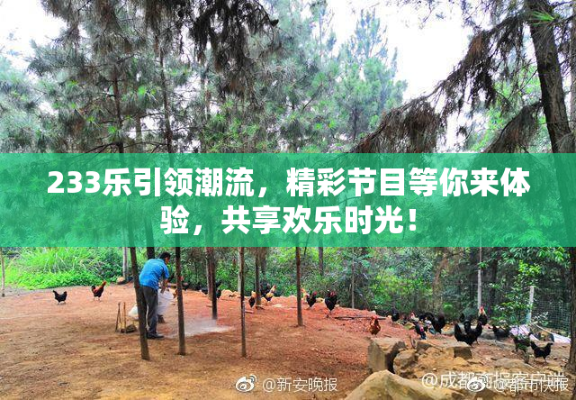 233乐引领潮流，精彩节目等你来体验，共享欢乐时光！
