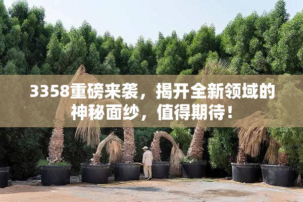 3358重磅来袭，揭开全新领域的神秘面纱，值得期待！
