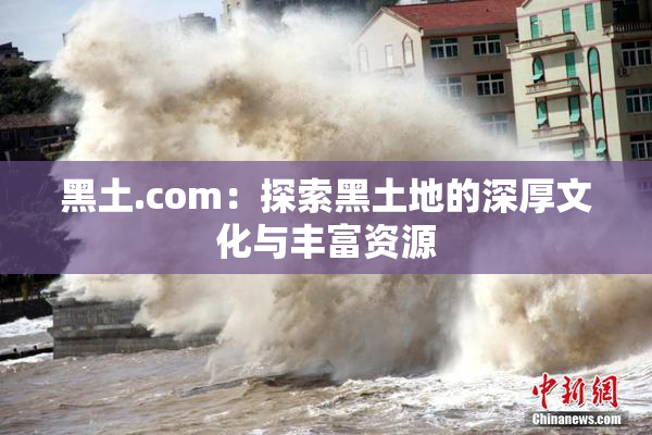 黑土.com：探索黑土地的深厚文化与丰富资源