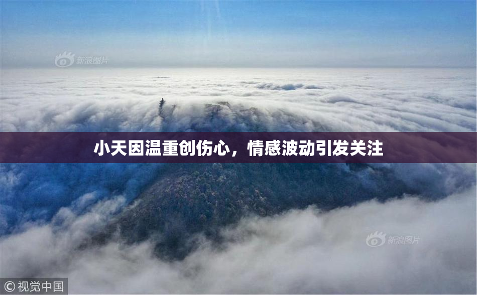 小天因温重创伤心，情感波动引发关注