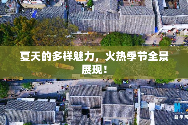 夏天的多样魅力，火热季节全景展现！