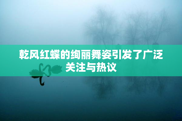 乾风红蝶的绚丽舞姿引发了广泛关注与热议