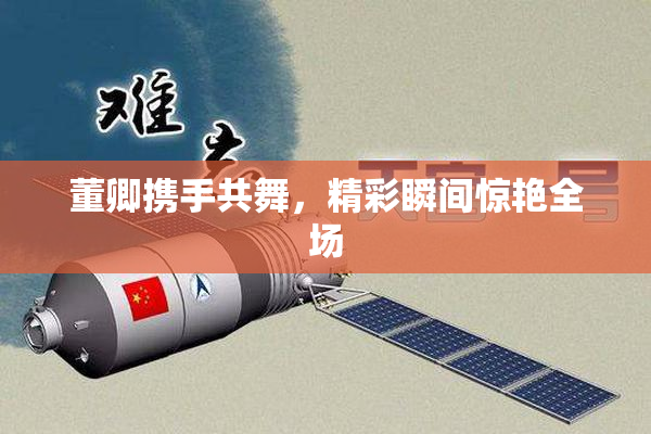 董卿携手共舞，精彩瞬间惊艳全场