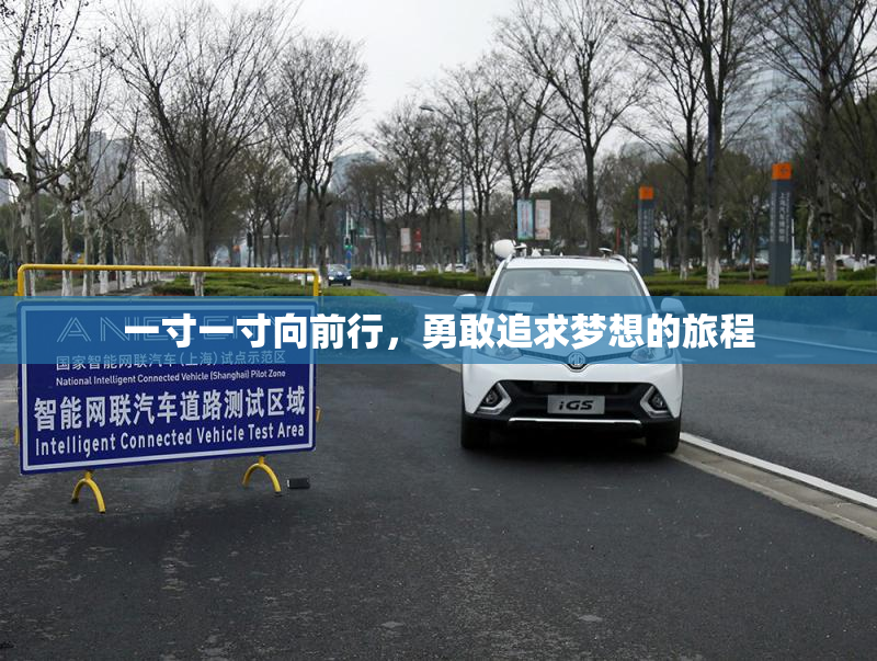 一寸一寸向前行，勇敢追求梦想的旅程