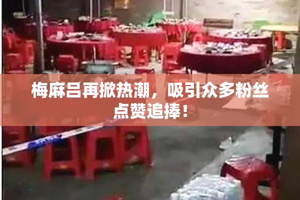 梅麻吕再掀热潮，吸引众多粉丝点赞追捧！