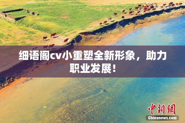 细语阁cv小重塑全新形象，助力职业发展！