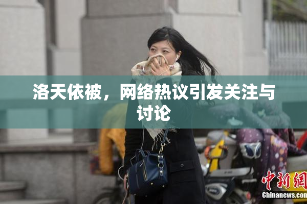 洛天依被，网络热议引发关注与讨论