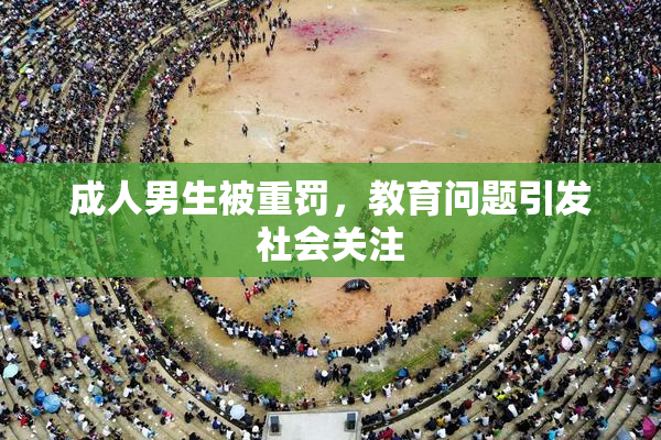 成人男生被重罚，教育问题引发社会关注