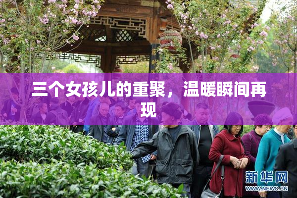 三个女孩儿的重聚，温暖瞬间再现
