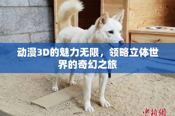 动漫3D的魅力无限，领略立体世界的奇幻之旅