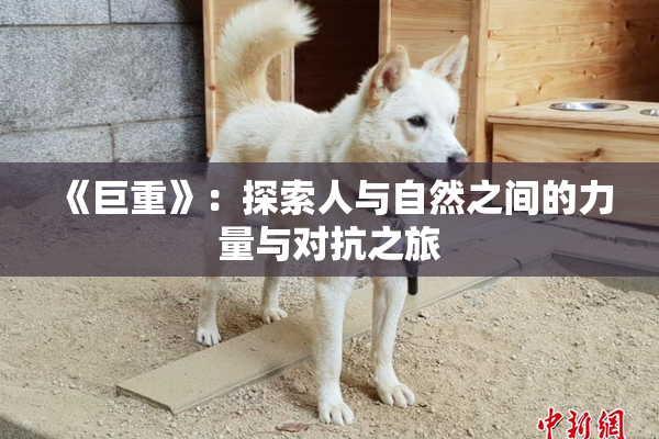 《巨重》：探索人与自然之间的力量与对抗之旅