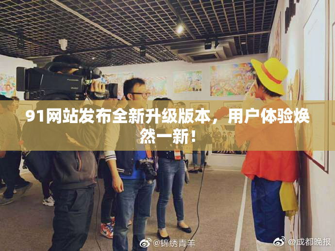 91网站发布全新升级版本，用户体验焕然一新！