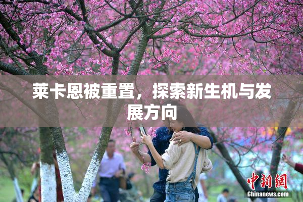 莱卡恩被重置，探索新生机与发展方向