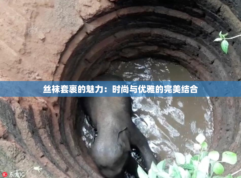 丝袜套裹的魅力：时尚与优雅的完美结合