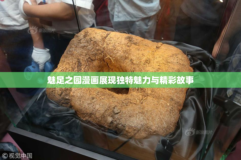 魅足之园漫画展现独特魅力与精彩故事