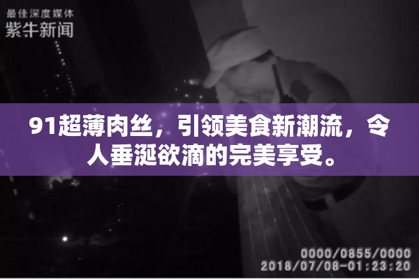 91超薄肉丝，引领美食新潮流，令人垂涎欲滴的完美享受。