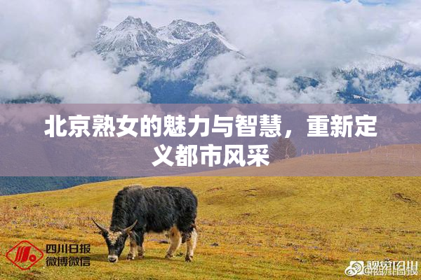 北京熟女的魅力与智慧，重新定义都市风采