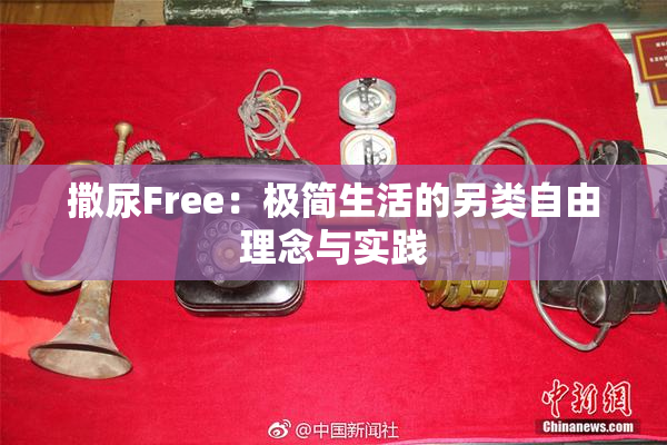 撒尿Free：极简生活的另类自由理念与实践