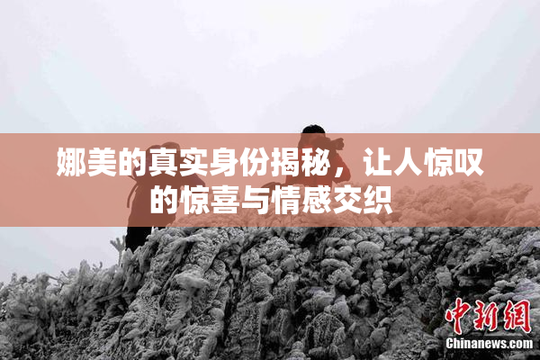 娜美的真实身份揭秘，让人惊叹的惊喜与情感交织