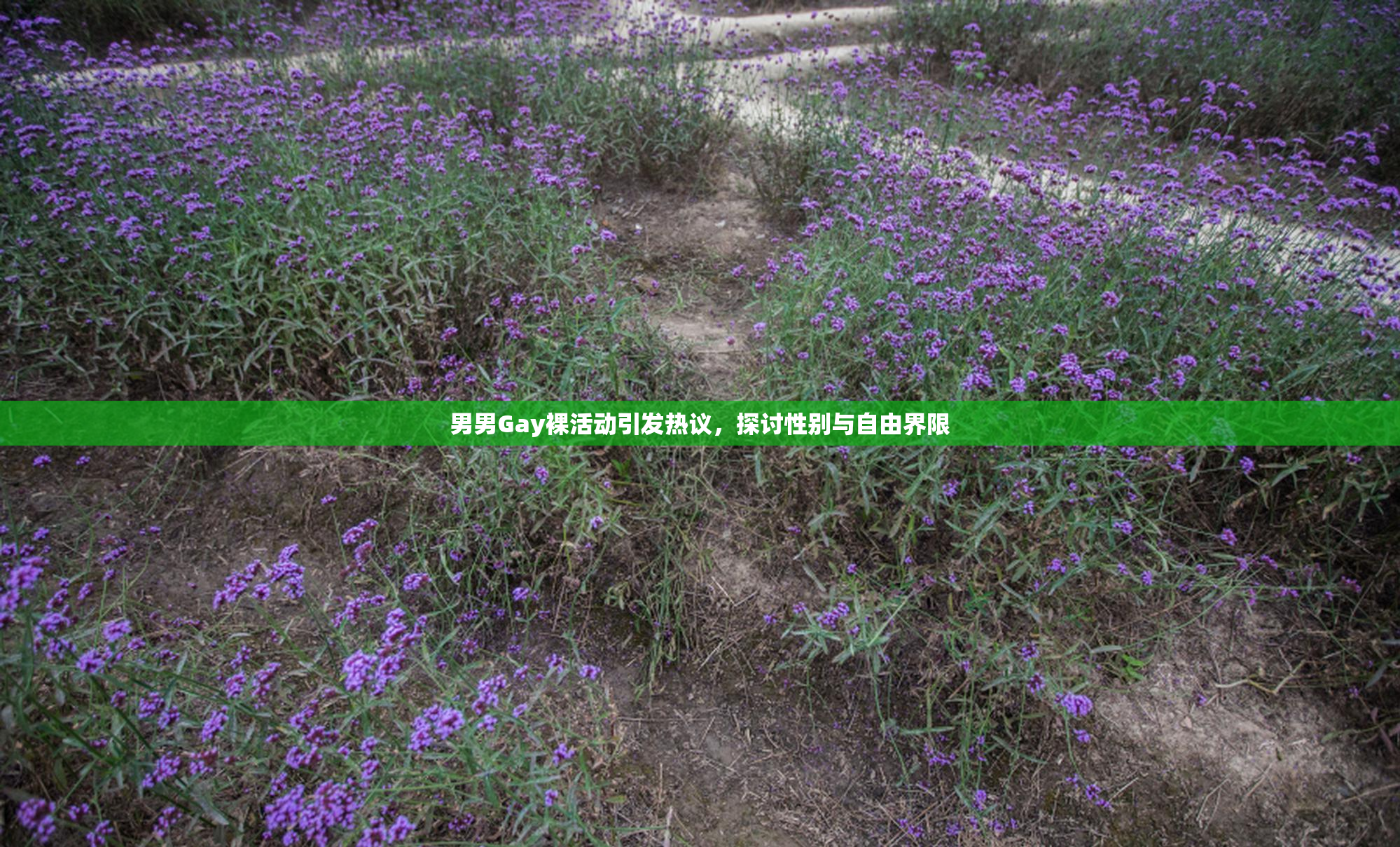 男男Gay裸活动引发热议，探讨性别与自由界限