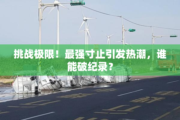挑战极限！最强寸止引发热潮，谁能破纪录？