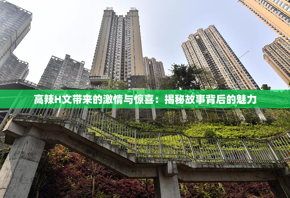 高辣H文带来的激情与惊喜：揭秘故事背后的魅力