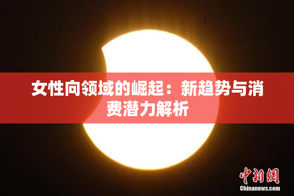 女性向领域的崛起：新趋势与消费潜力解析