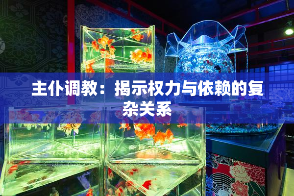 主仆调教：揭示权力与依赖的复杂关系
