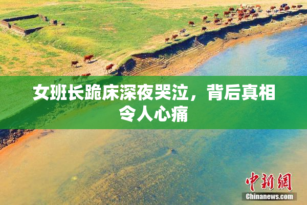 女班长跪床深夜哭泣，背后真相令人心痛