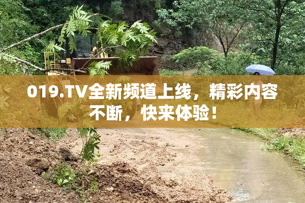 019.TV全新频道上线，精彩内容不断，快来体验！