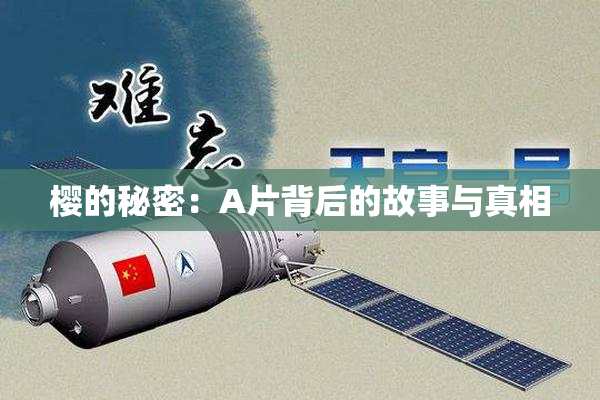樱的秘密：A片背后的故事与真相