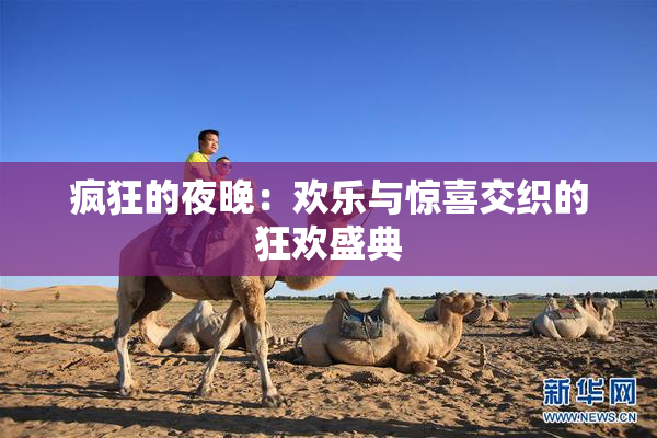 疯狂的夜晚：欢乐与惊喜交织的狂欢盛典