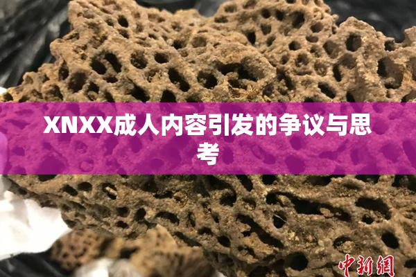 XNXX成人内容引发的争议与思考