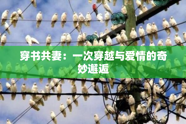 穿书共妻：一次穿越与爱情的奇妙邂逅